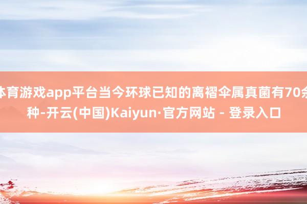 体育游戏app平台当今环球已知的离褶伞属真菌有70余种-开云(中国)Kaiyun·官方网站 - 登录入口
