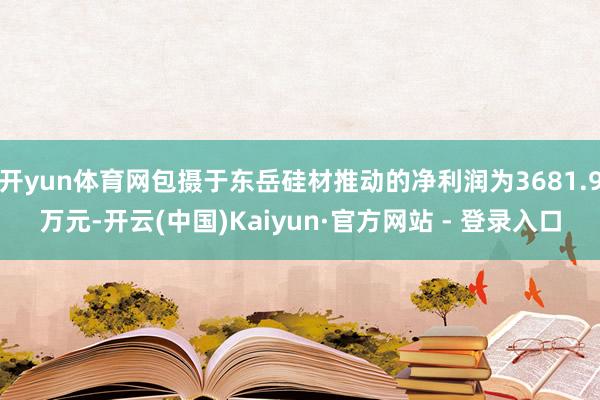 开yun体育网包摄于东岳硅材推动的净利润为3681.9万元-开云(中国)Kaiyun·官方网站 - 登录入口