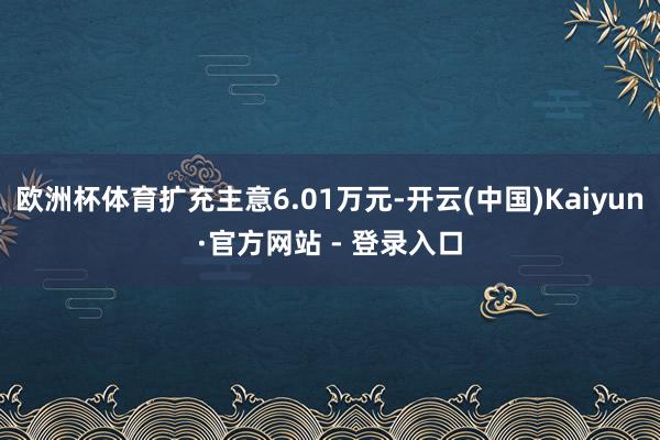 欧洲杯体育扩充主意6.01万元-开云(中国)Kaiyun·官方网站 - 登录入口