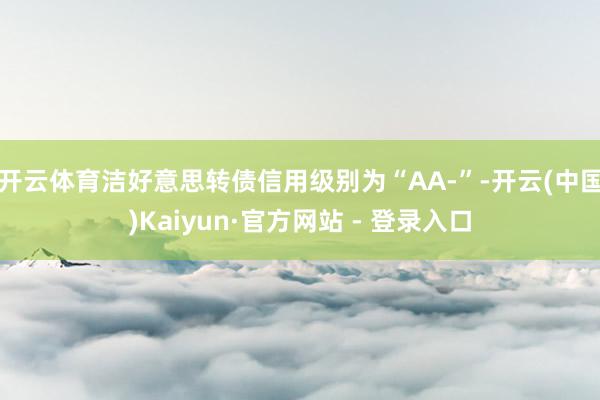 开云体育洁好意思转债信用级别为“AA-”-开云(中国)Kaiyun·官方网站 - 登录入口