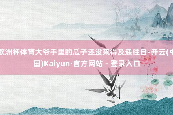 欧洲杯体育大爷手里的瓜子还没来得及递往日-开云(中国)Kaiyun·官方网站 - 登录入口